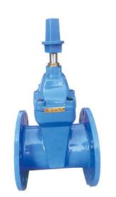 RVX-10/16帶傳動帽彈性座封閘閥