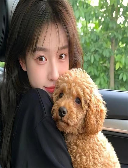 犬夜叉：镜中的梦幻城不同导演版本比较：艺术风格差异专业分析